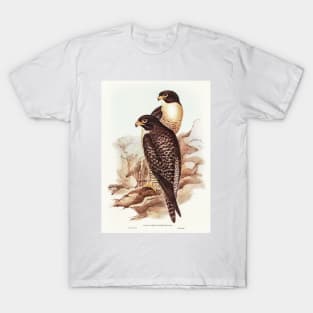 Black-cheeked Falcon T-Shirt